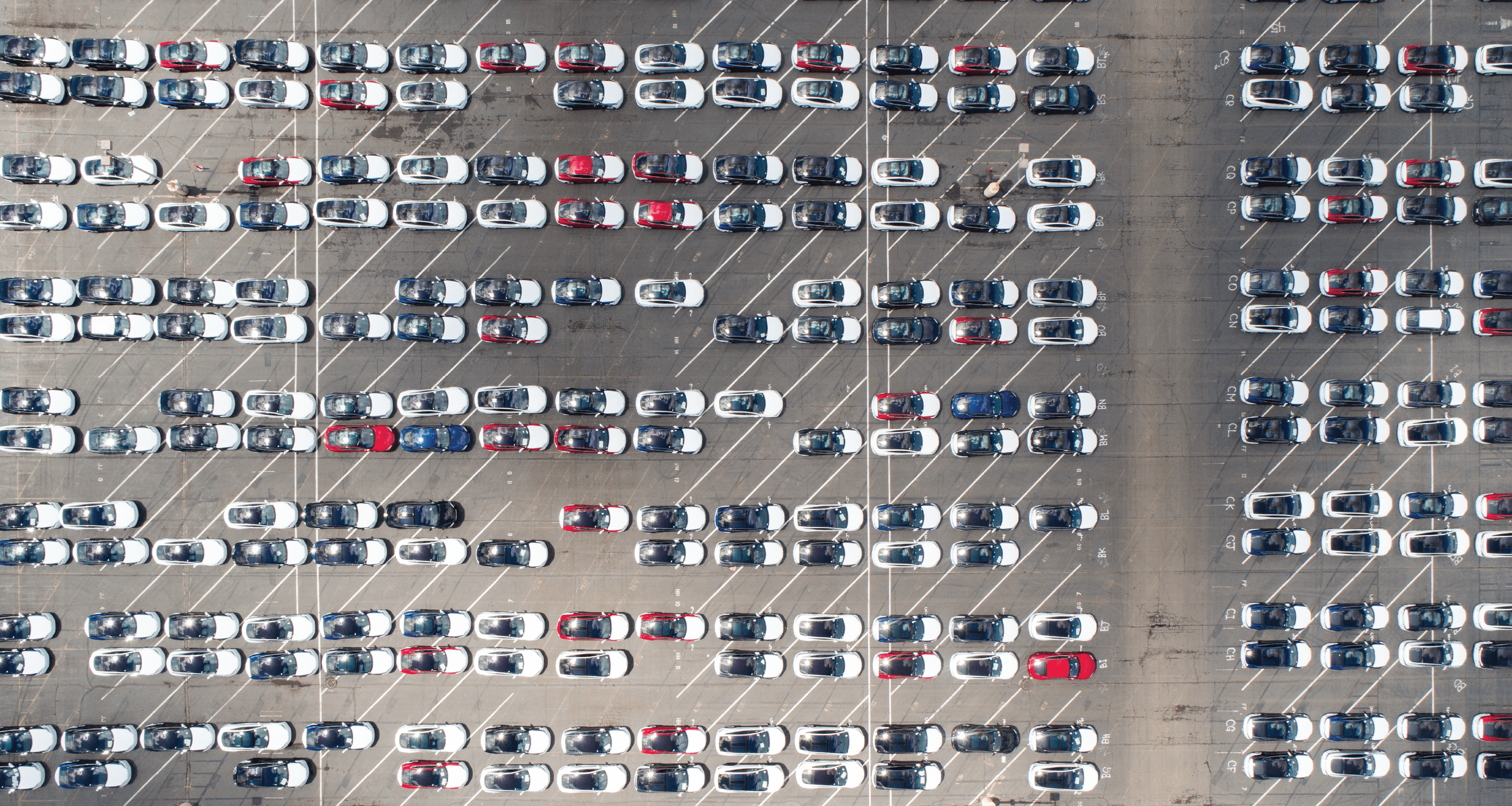 fleet management software